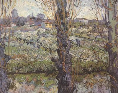 Vincent Van Gogh Orchard in Blossom with View of Arles (nn04) France oil painting art